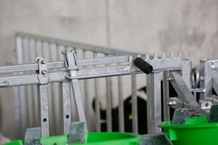 KERBL Modulare Zaunaufstallung Fanggitter